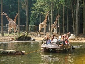 Leuke activiteiten voor koppels